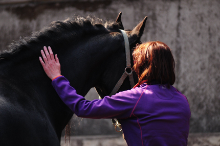 Van het zadel naar succes: Hoe paardencoaching persoonlijke groei en professionele ontwikkeling kan stimuleren