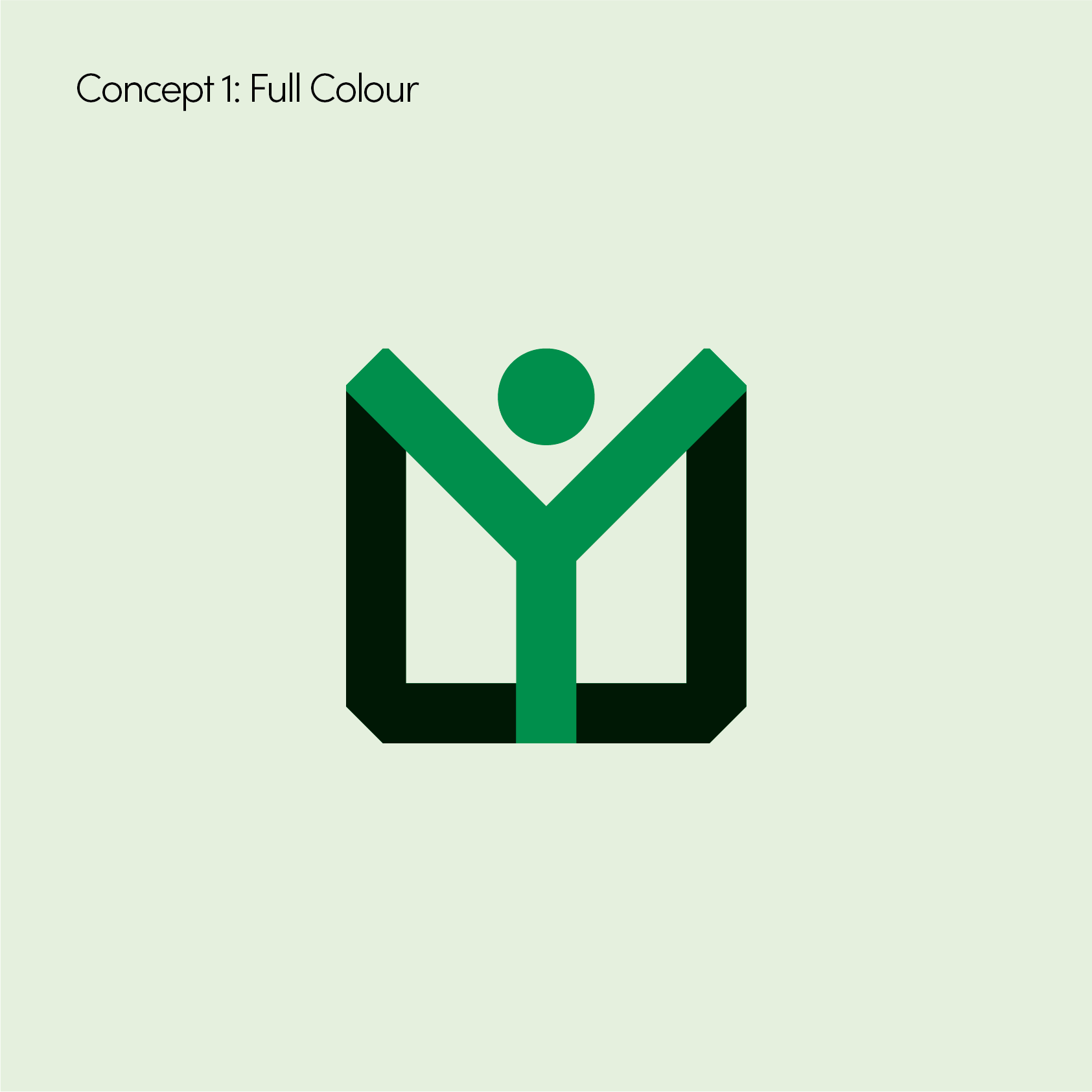 Logo Design & Brand Guidelines