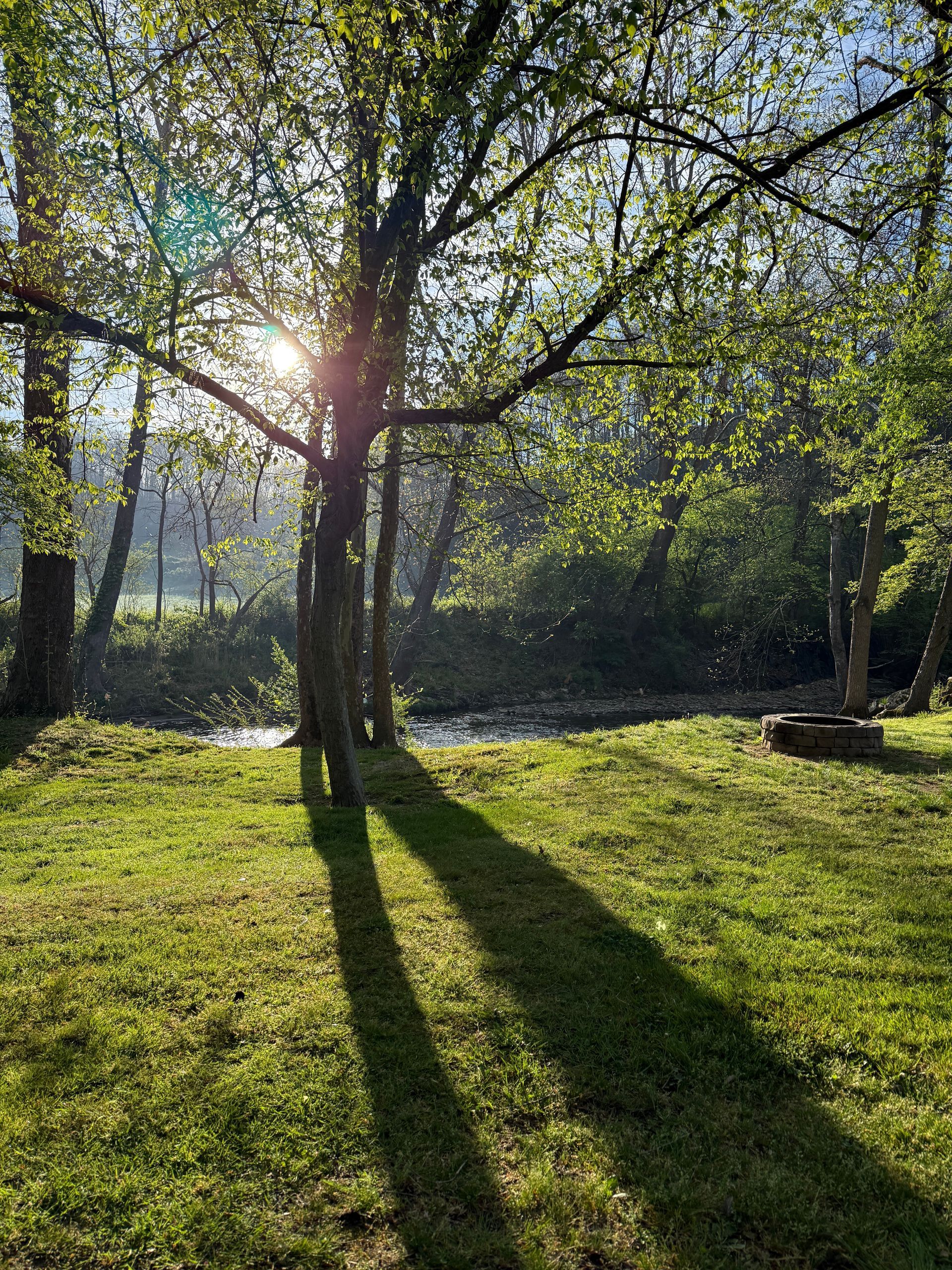 Creekside camping NC at Creekwood Farm RV Park with shaded grass sites and flowing stream near Maggie Valley.