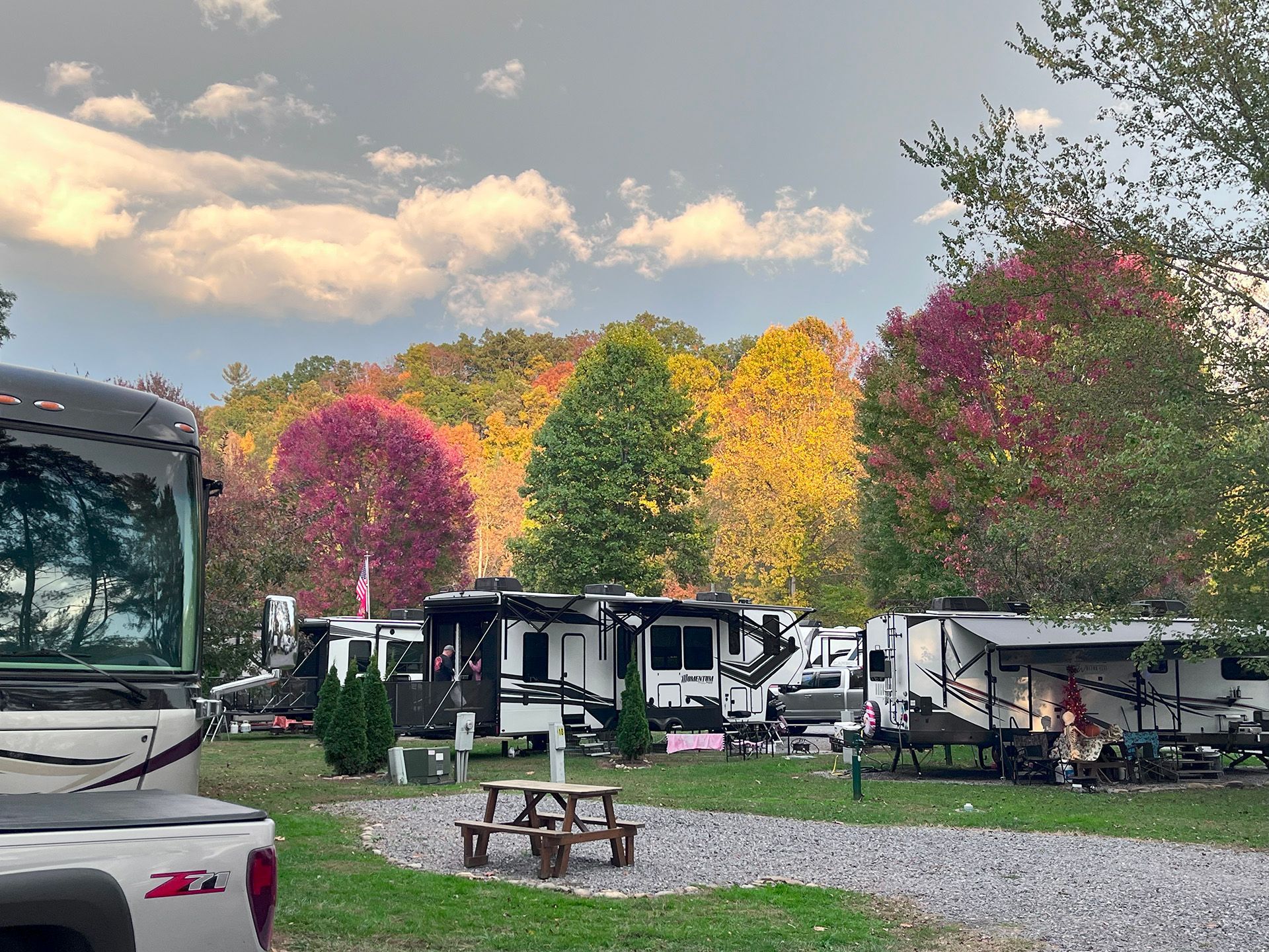 A row of rvs are parked in a campground with trees in the background