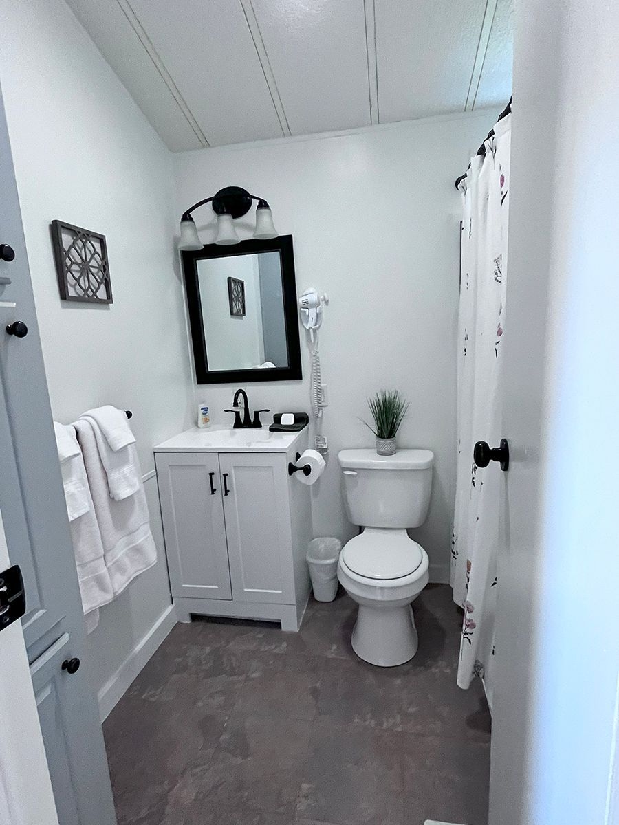 A bathroom with a toilet , sink , mirror and shower curtain