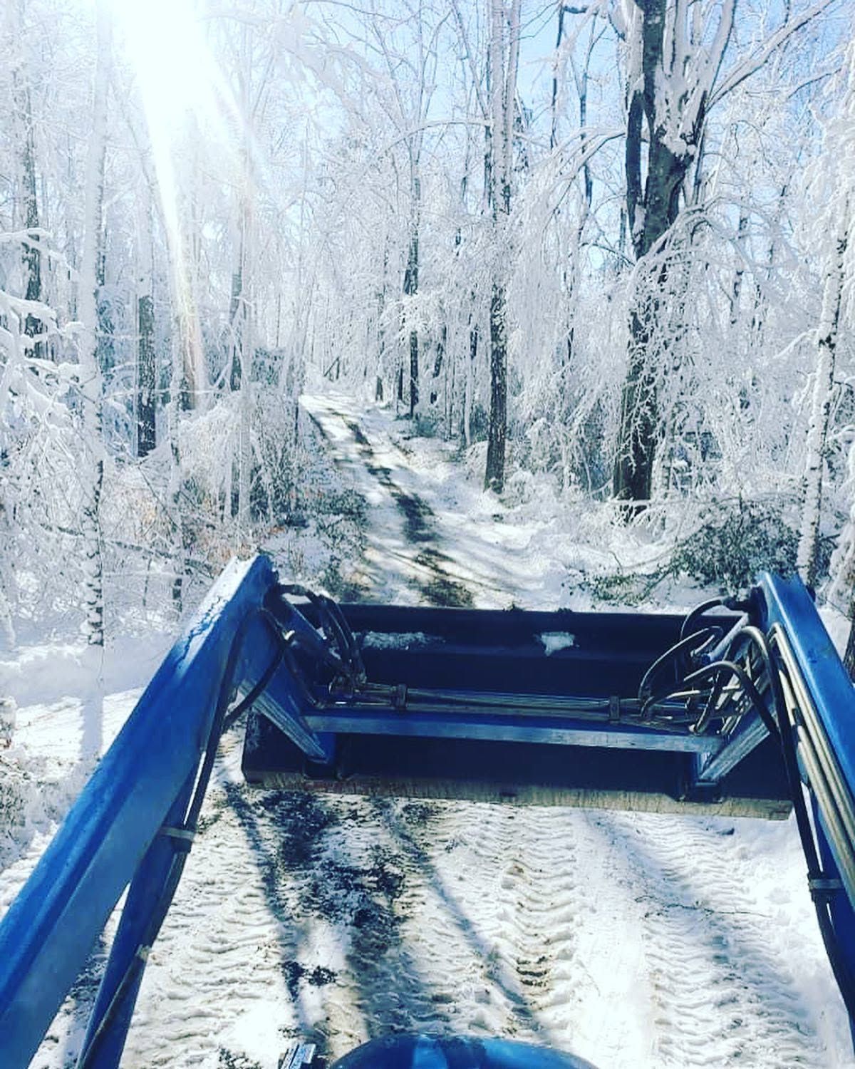Blue tractor bucket on a snowy forest trail under frost-covered trees