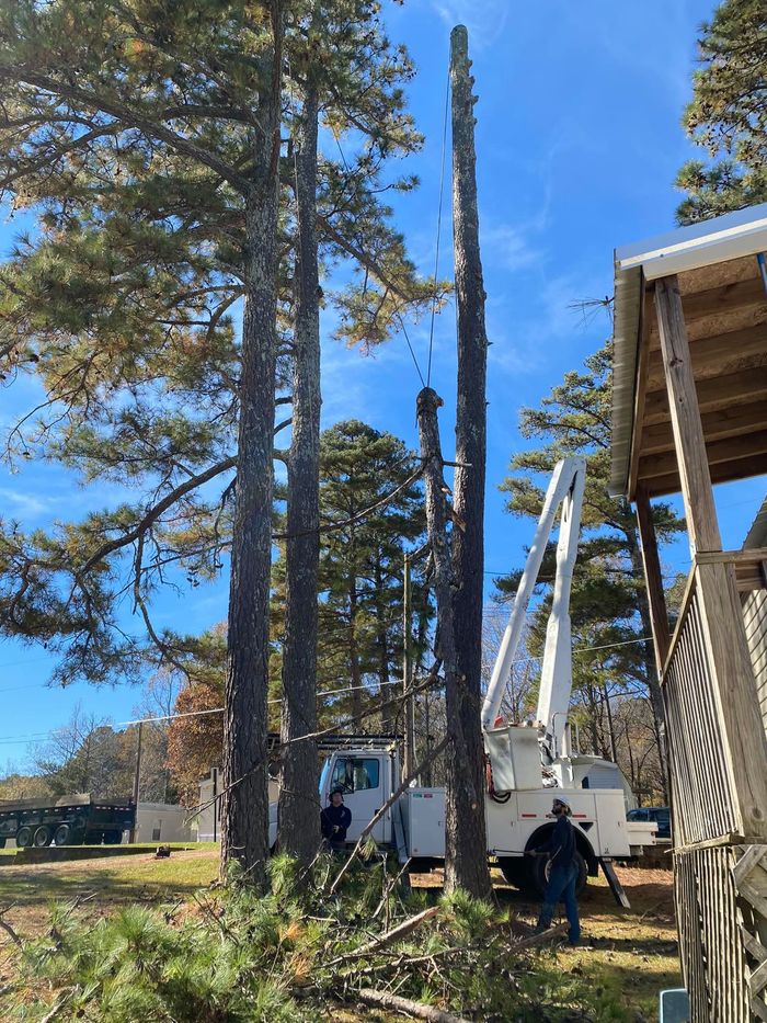 A tree is being cut down by a crane in a yard.