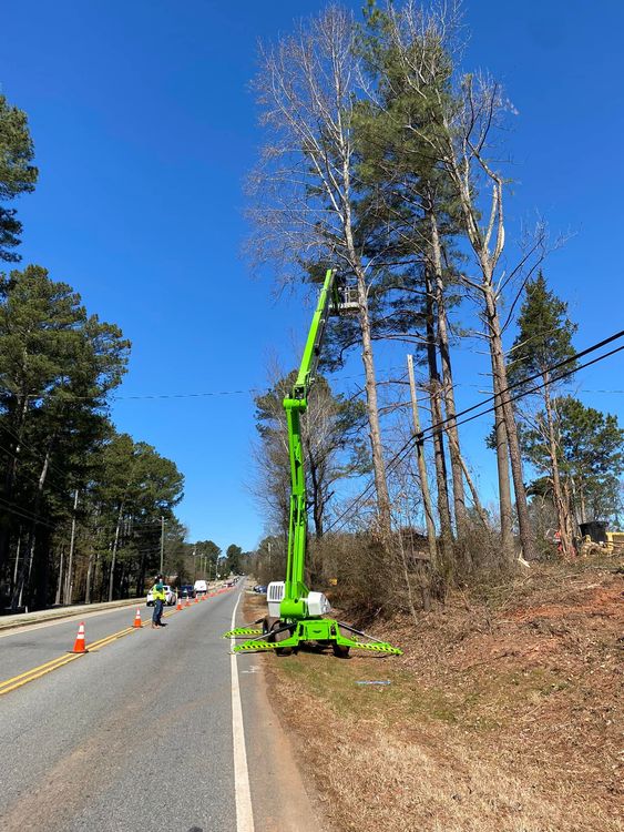 A green crane is cutting trees on the side of a road.