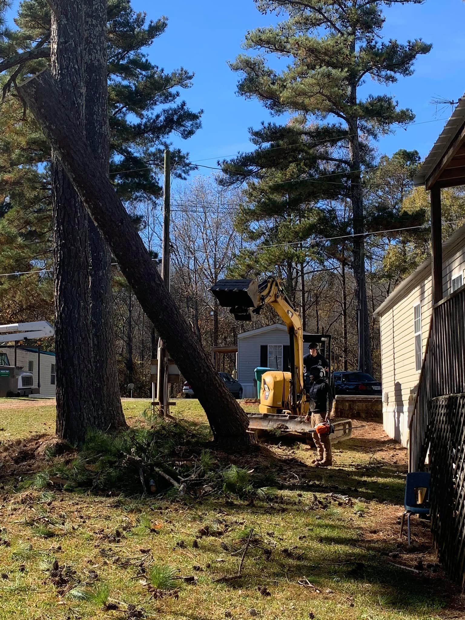 A tree is being cut down in front of a house.