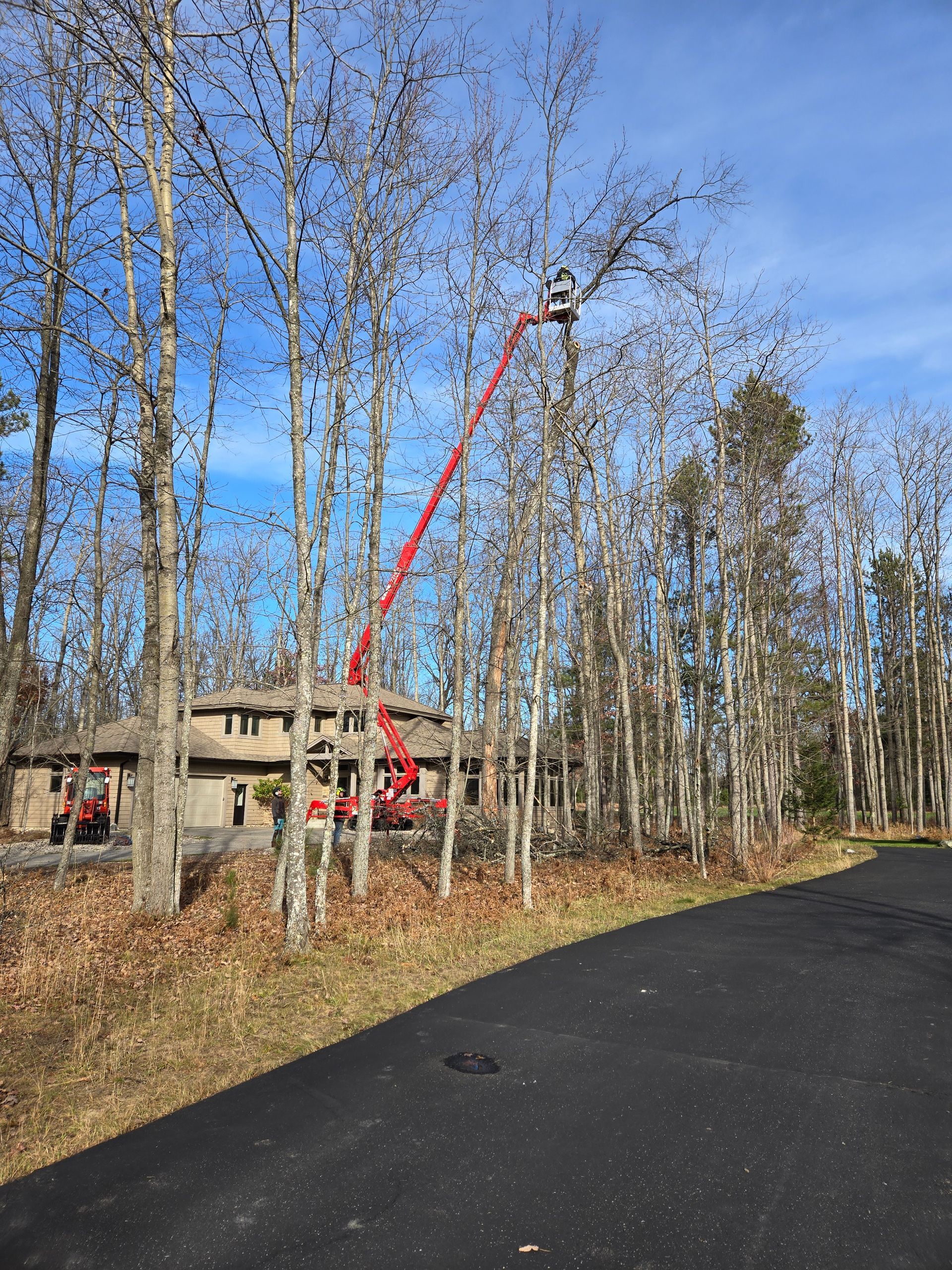 A man is cutting a tree with a crane in front of a house.