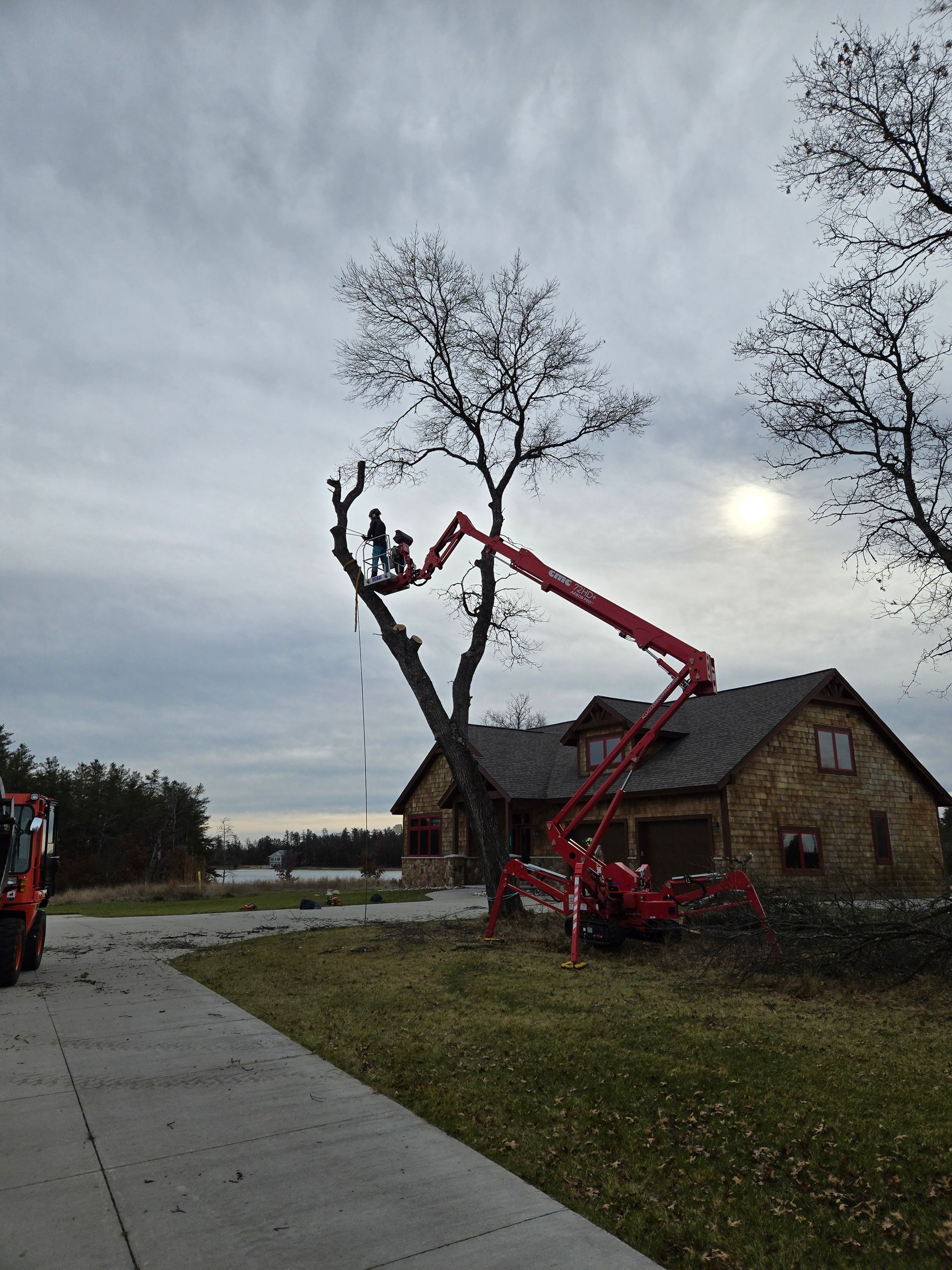 A red crane is cutting a tree in front of a house