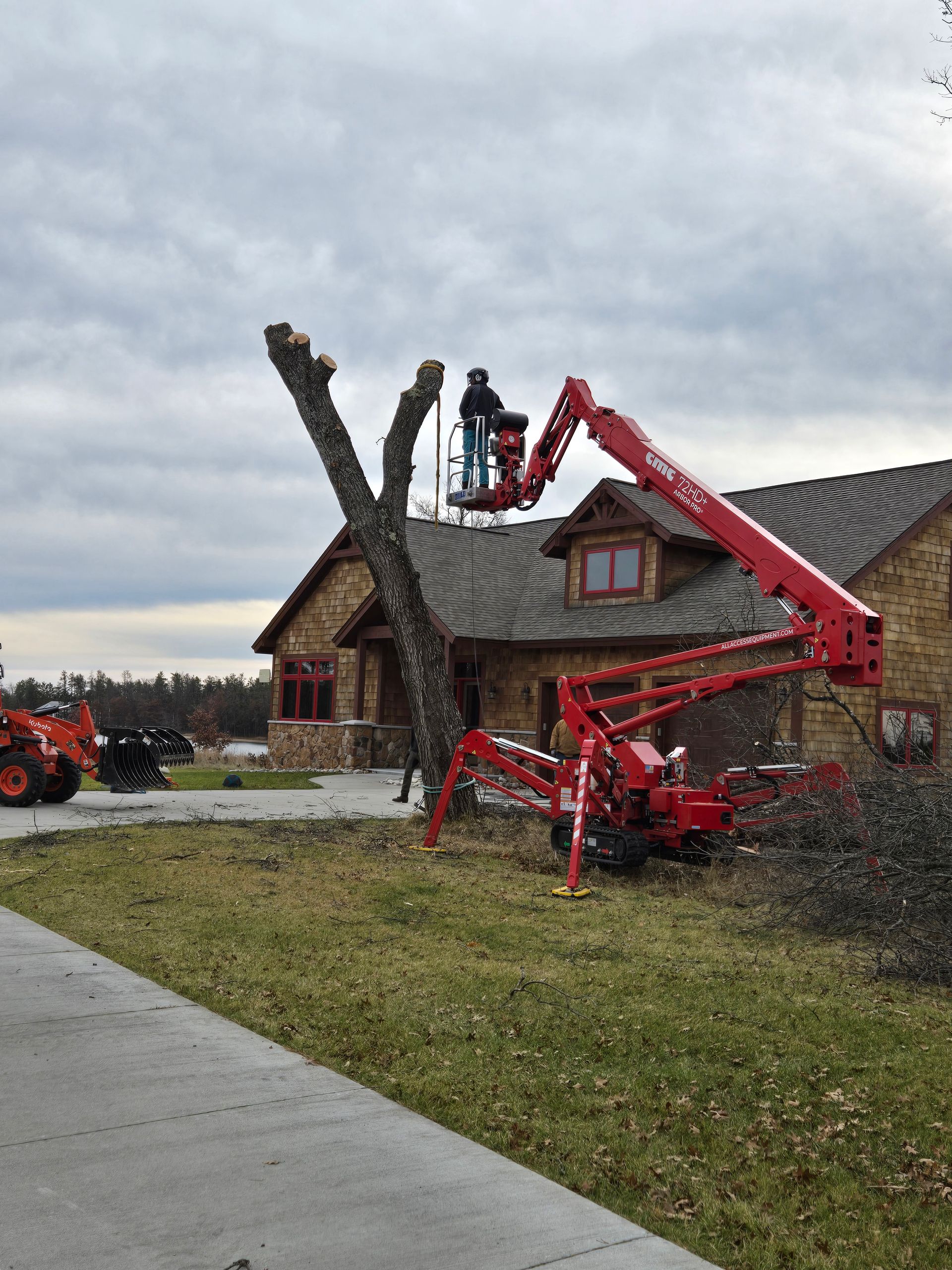 A red crane is cutting a tree