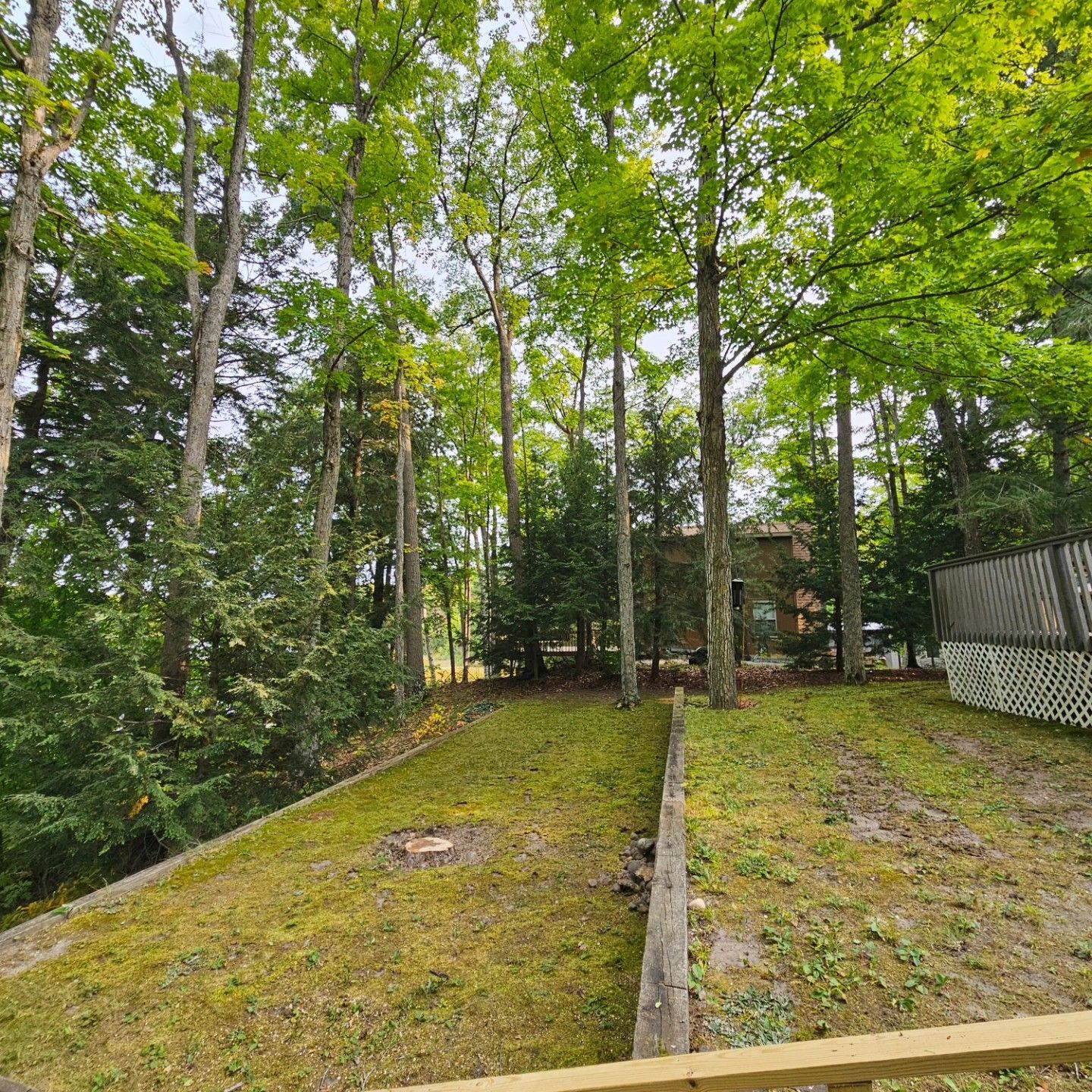 There is a fire pit in the middle of the yard surrounded by trees.