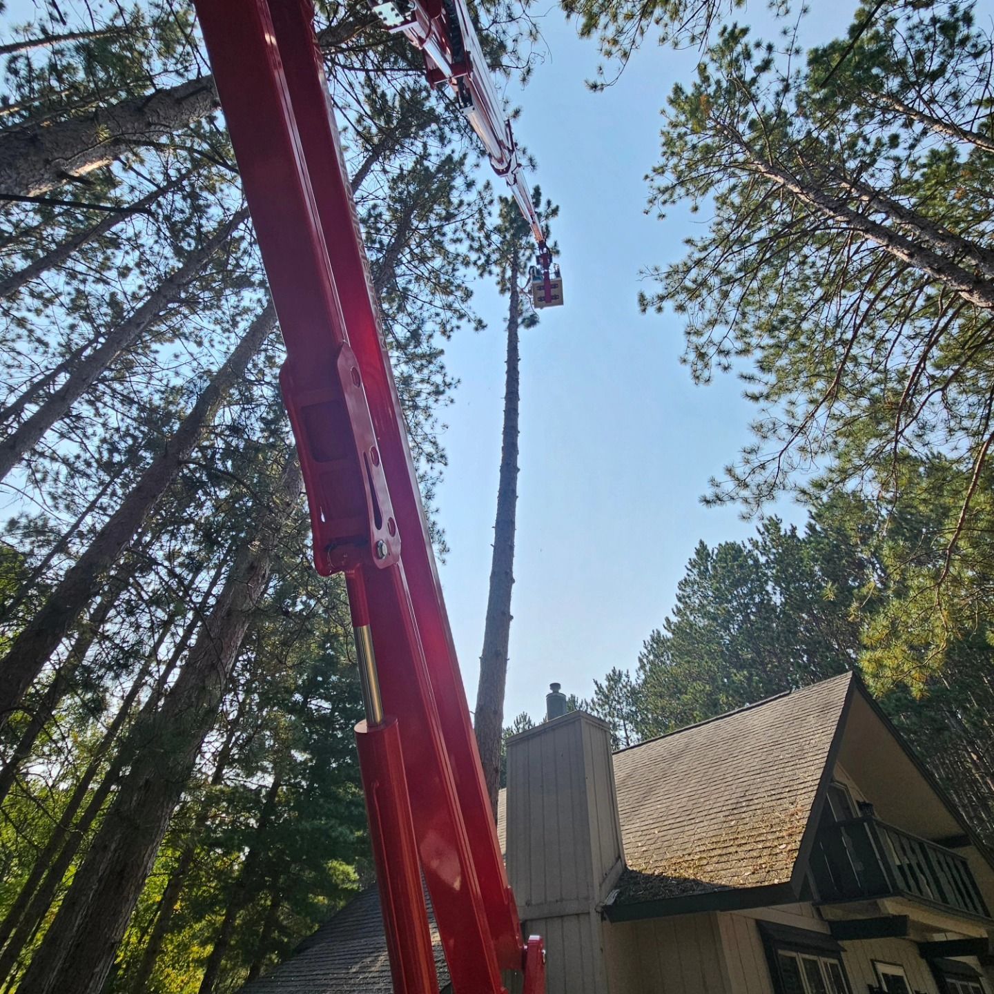 A red crane is cutting a tree in front of a house