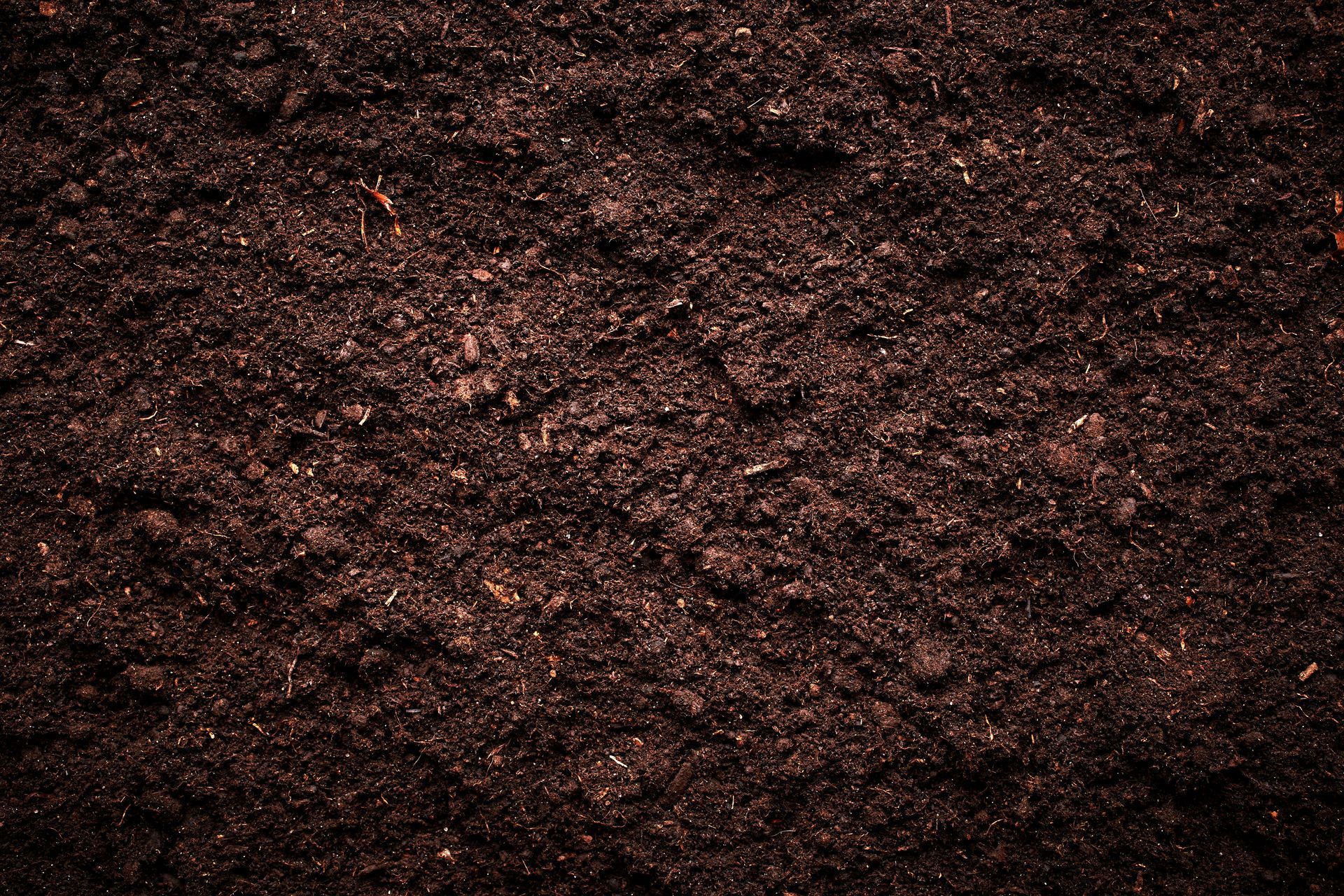 Top view of soil from a trusted soil supplier.