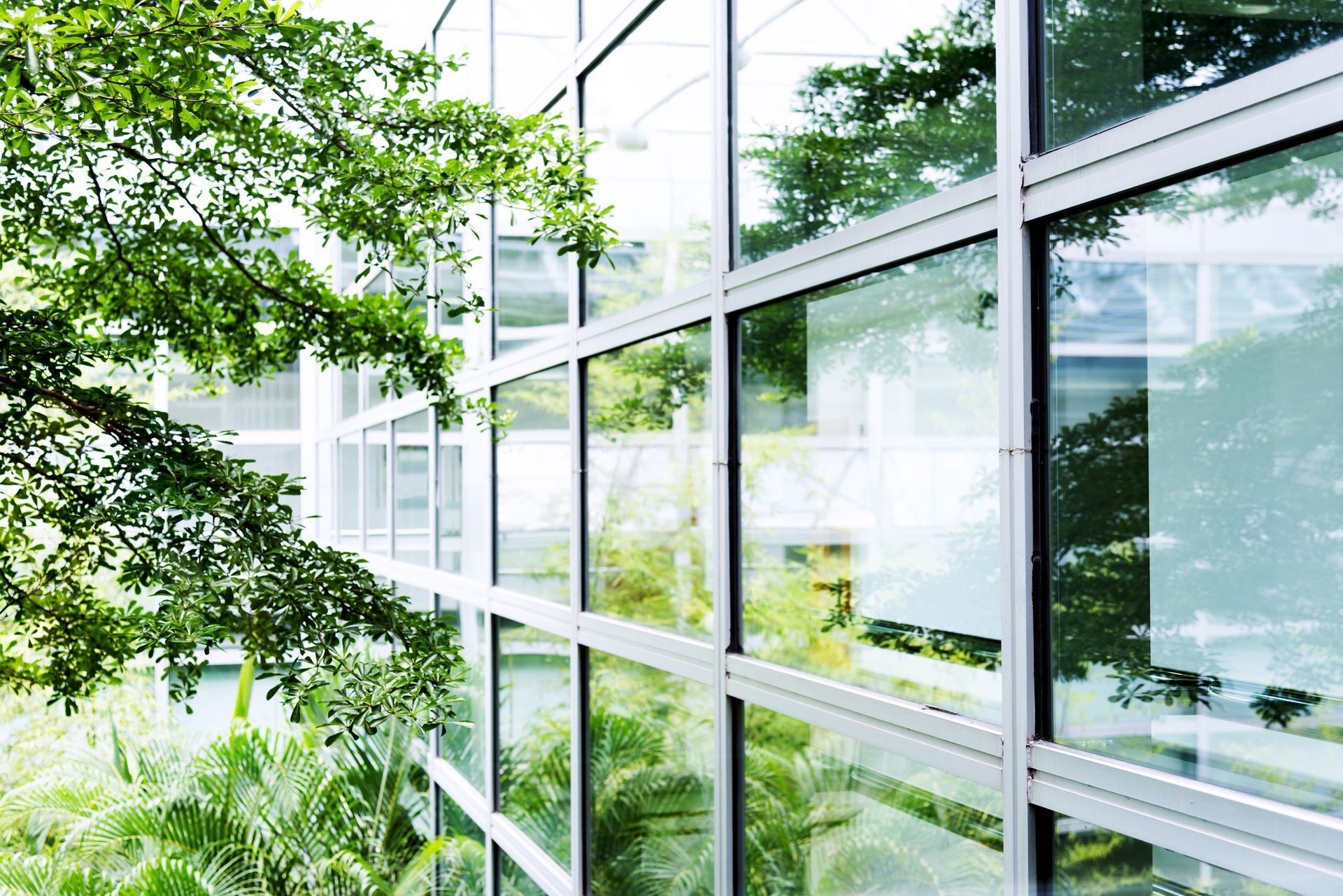 Building surrounded by trees and plants, showcasing window tinting in Perth for enhanced aesthetics.