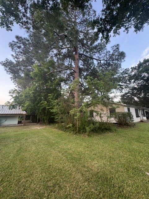 A large tree is in the middle of a lush green yard in front of a house.