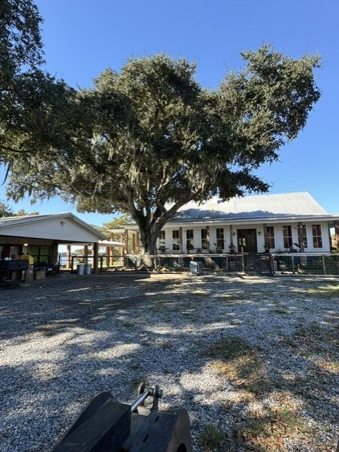 A house with a large tree in front of it