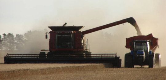 Ravioli Rodamientos - Venta de rodamientos