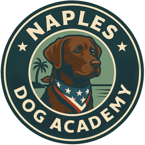 Naples Dog Academy logo with brown Labrador, blue and red bandana, palm tree, and teal background.