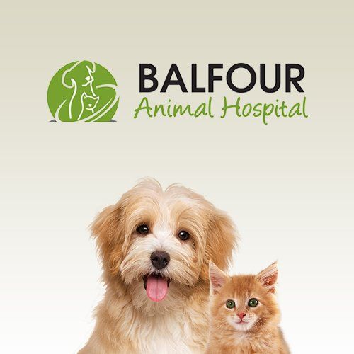 Vet Clinic In Pelham Fonthill On Animal Hospital