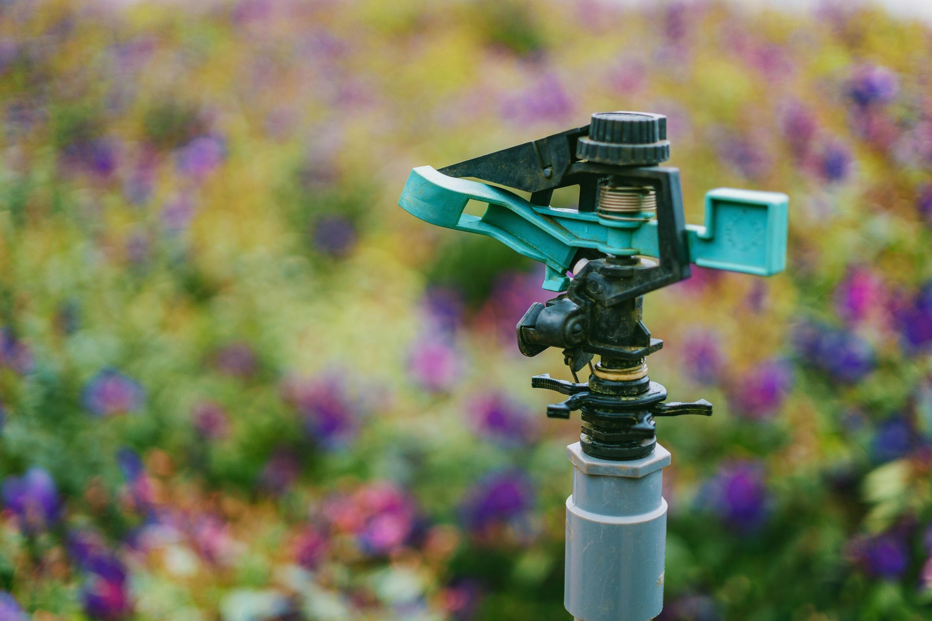 A close up of a sprinkler in a garden with flowers in the background.