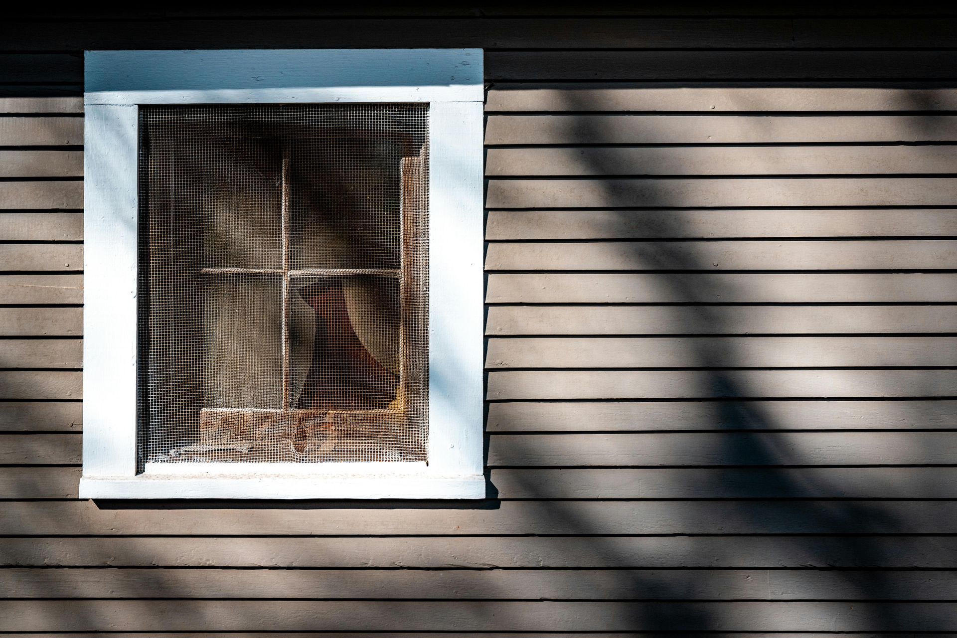 Siding Repair