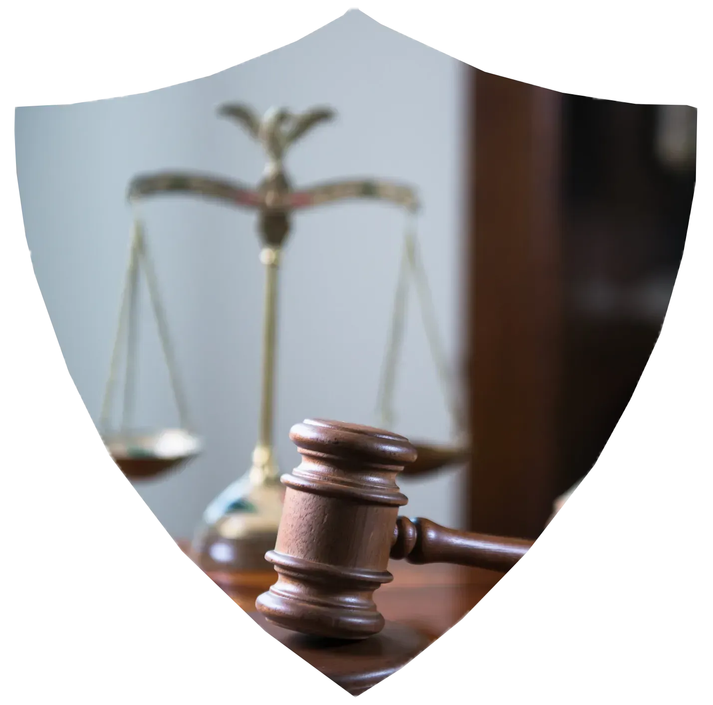 civil litigation attorney shield
