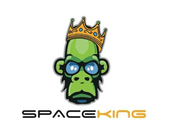 SpaceKing