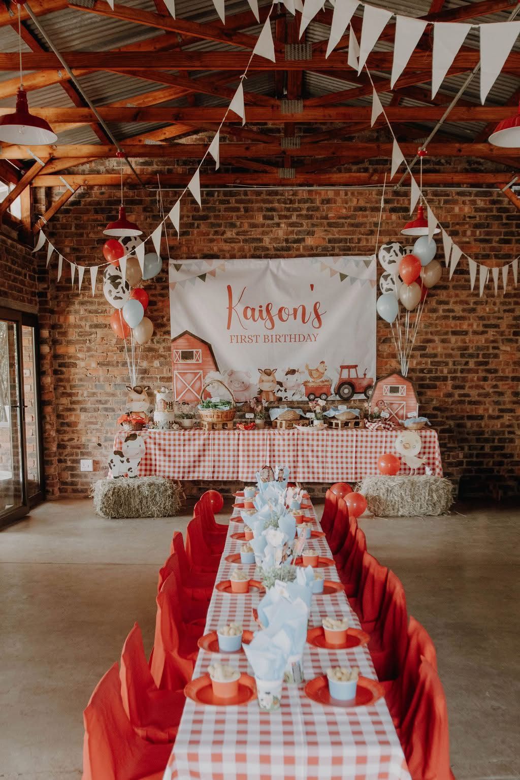 A long table and chairs are set up for a birthday party.