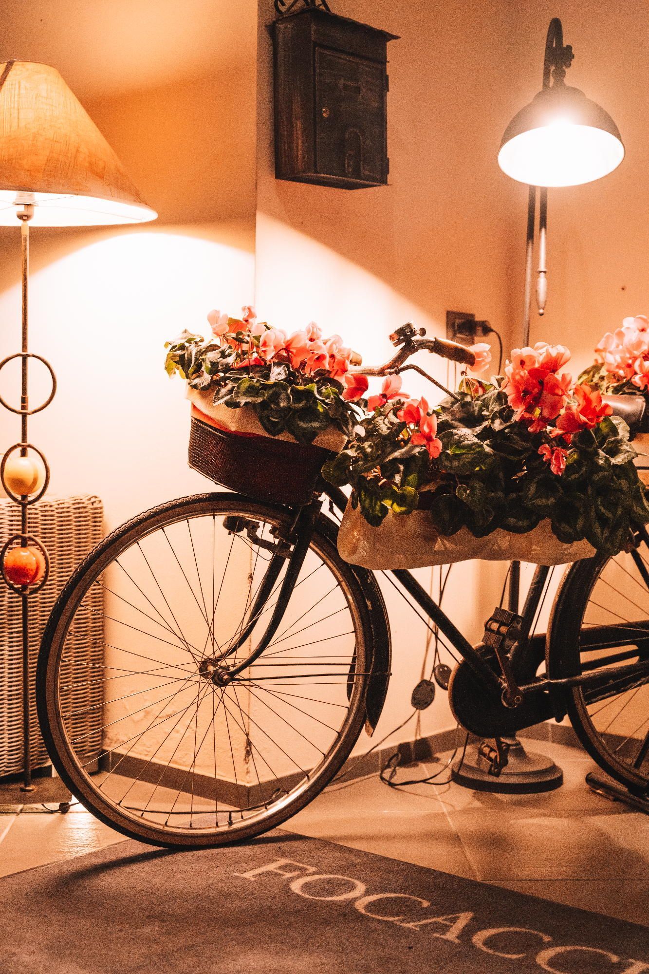 menù degustazione Focacceria Francesco Sarzana