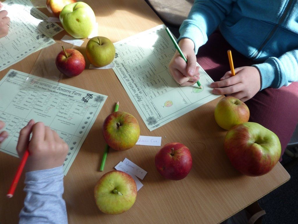 Bonterre Sessions in Action