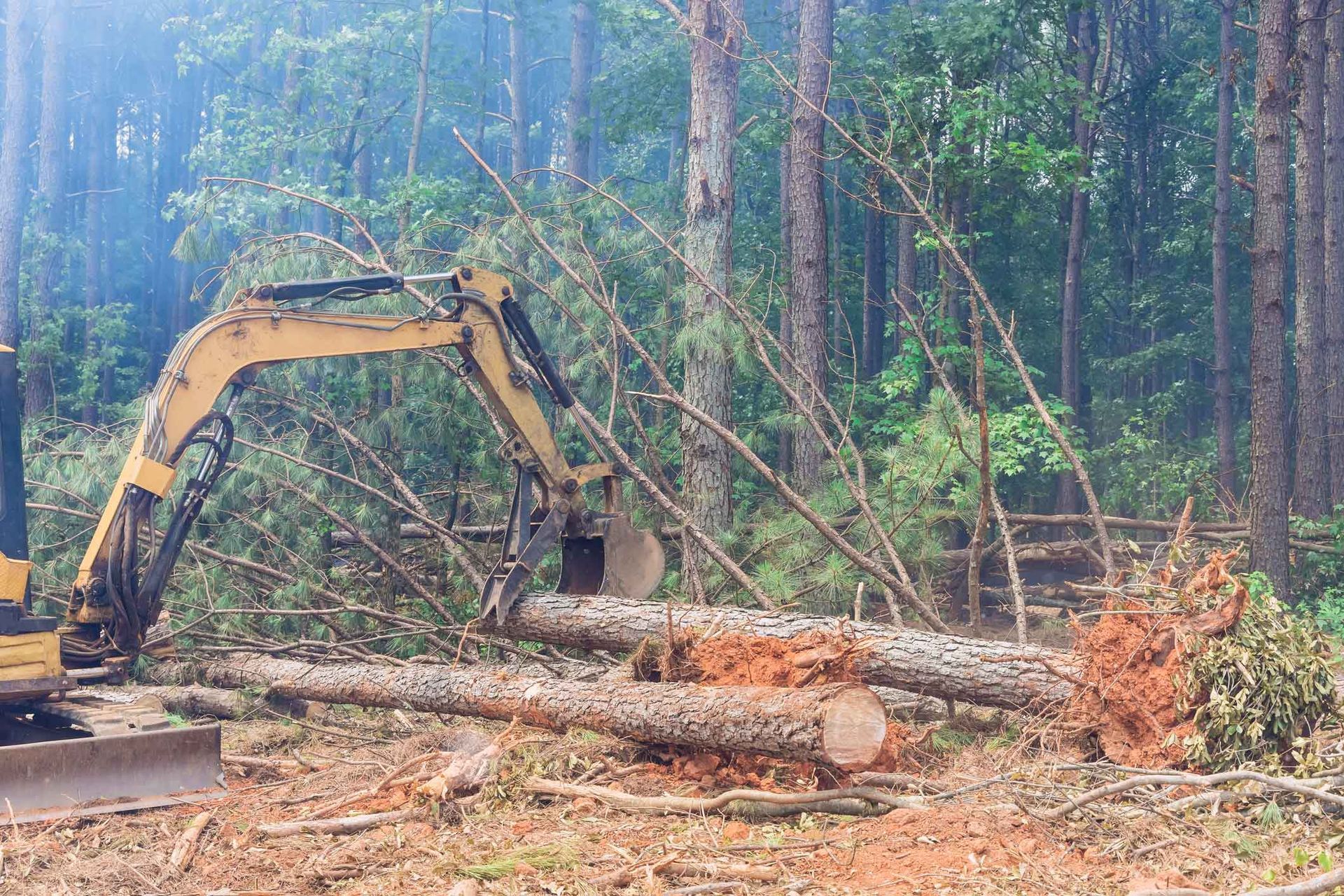 Yellow excavator cutting a fallen tree in a forest, logs and debris on the ground.