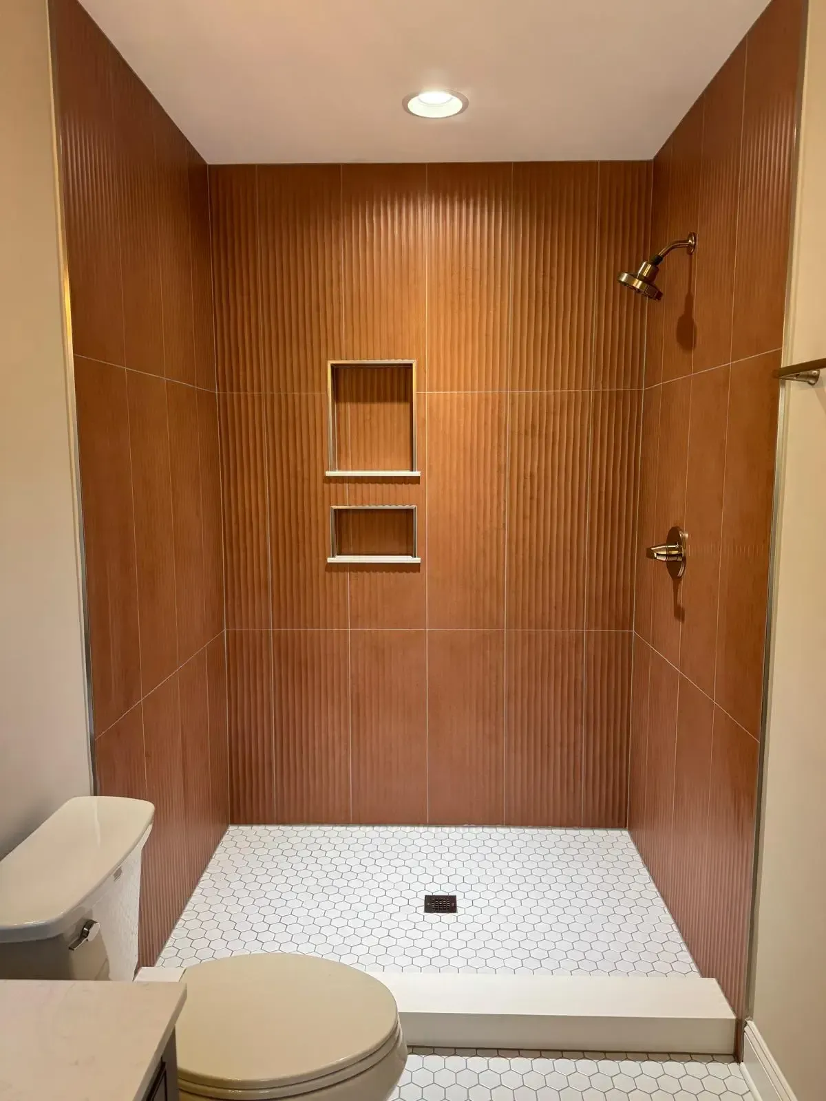 A bathroom with a toilet and a walk in shower.