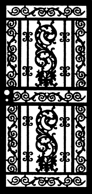 B4_BirdOfParadise — Detroit, MI — Protector Window & Door