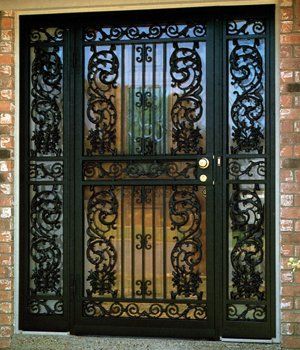 Black Security Door — Detroit, MI — Protector Window & Door