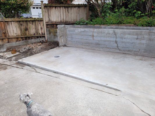 a dog is standing in a concrete driveway next to a wooden fence .