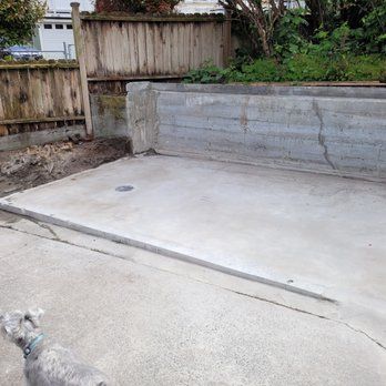 a small dog is standing in front of a concrete wall .
