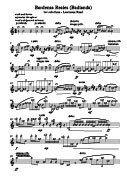 Badlands score - for flute