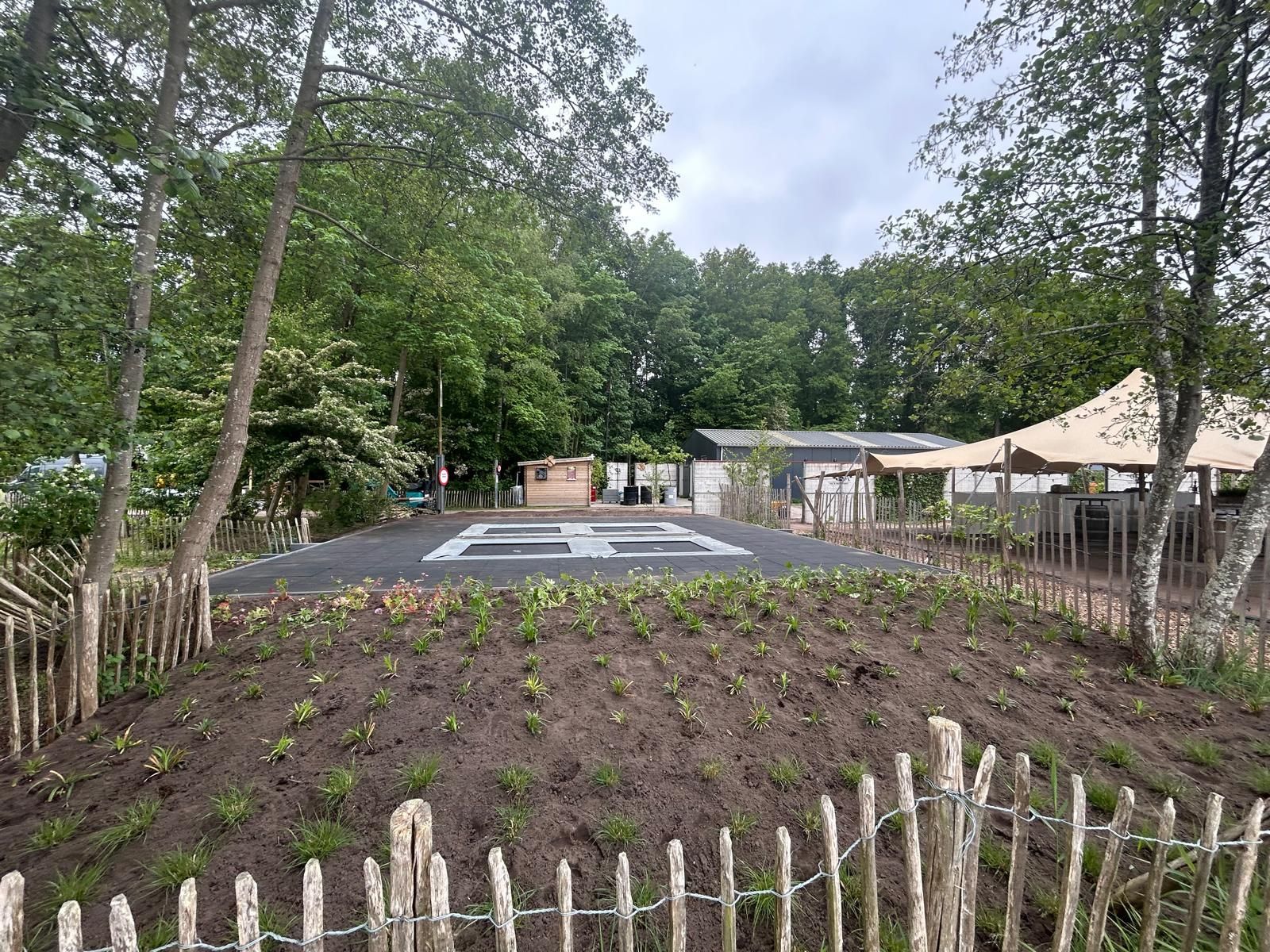Een speeltuin met meerdere ingegraven trampolines, omgeven door bomen en een houten hek.