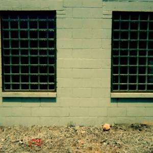 Southfield — Window With Grills in Southfield, MI