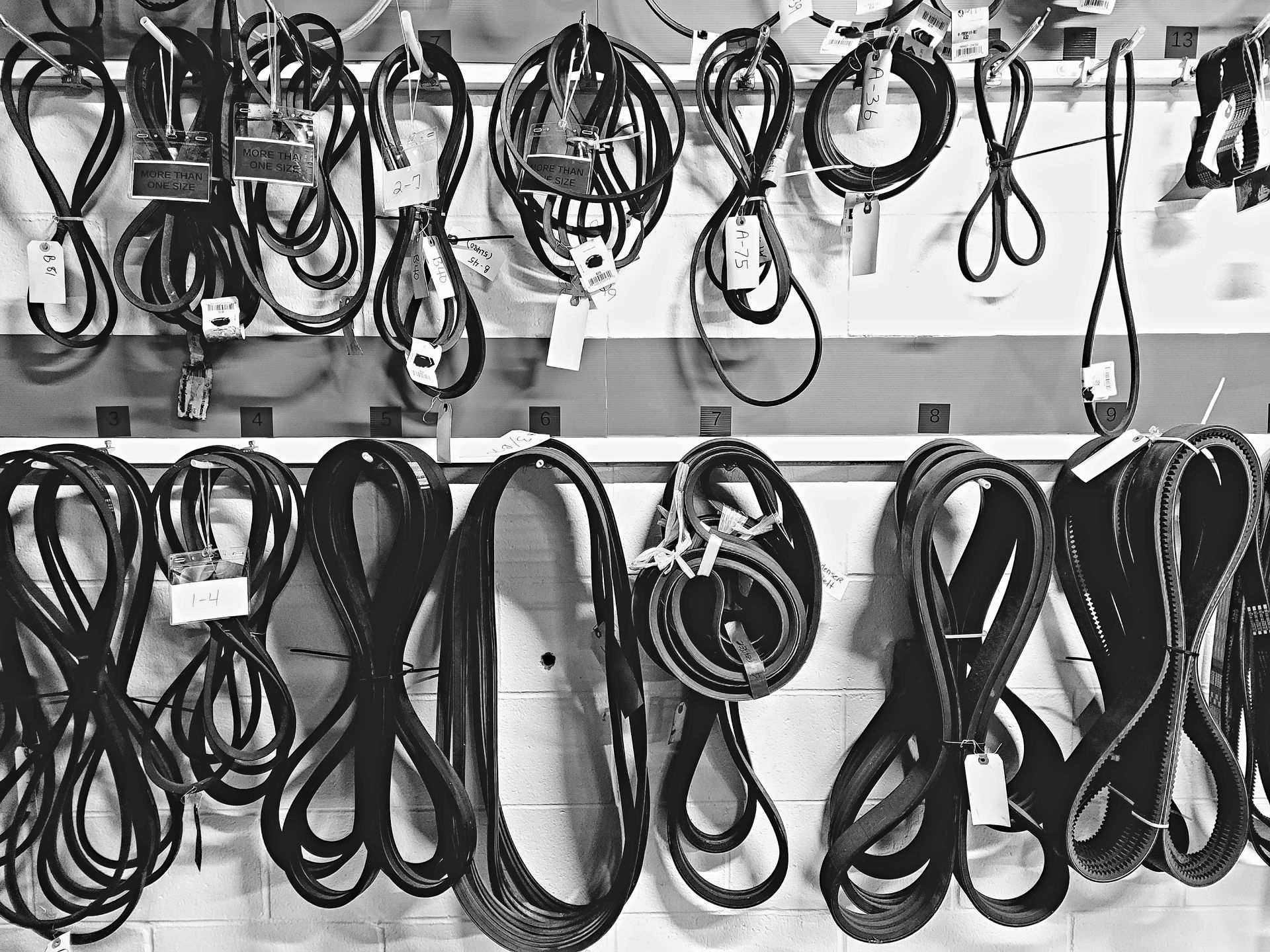 Serpentine Belt Replacement in San Leandro, CA | Doral's Auto Repair