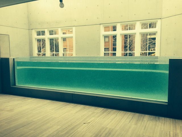 A large glass swimming pool in a room with windows