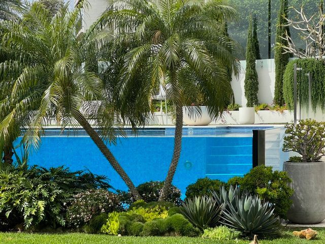 A large swimming pool surrounded by palm trees and plants