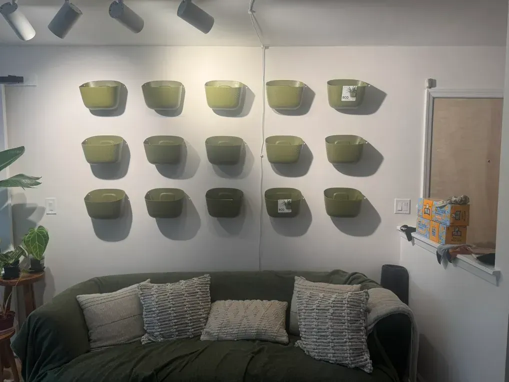 Green wall-mounted planters on a white wall above a green sofa with pillows. Room has track lighting.