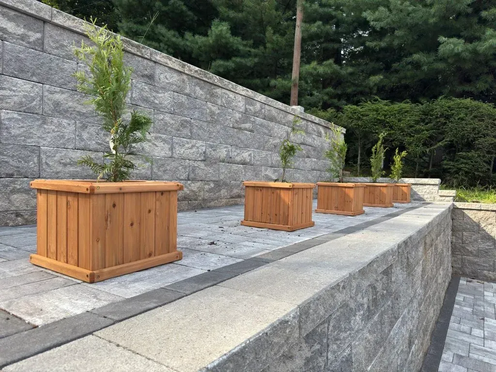 Four wooden planters with small trees sit on a stone wall, against a larger retaining wall.