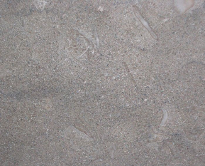 Fossilised Limestone