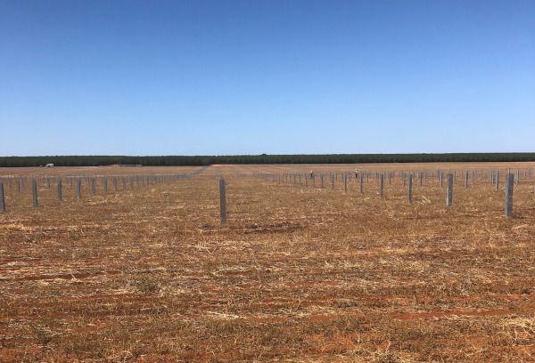 Maryrorough Solar Farm