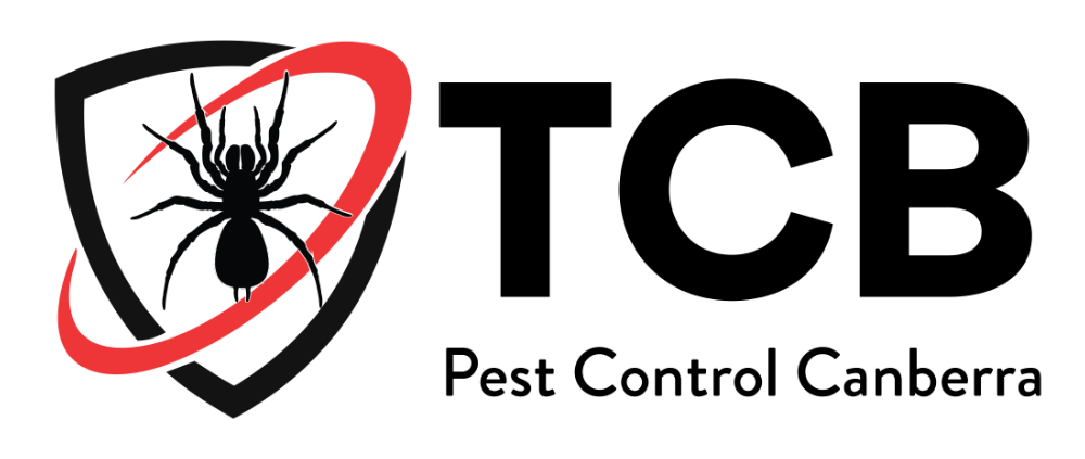 Pest Exterminator in Canberra