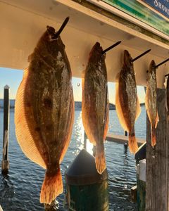 A bunch of fish are hanging on a dock near the water