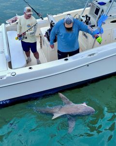 Two men are fishing on a boat with a shark in the water.