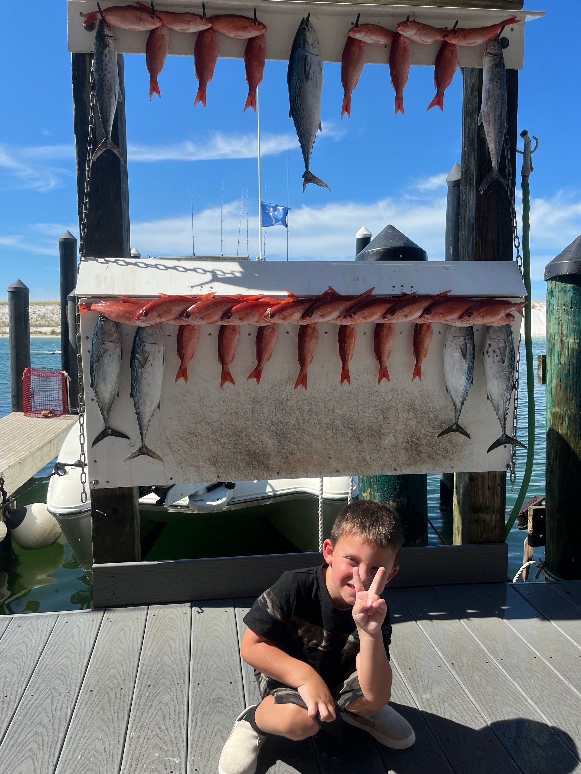 A young boy sits in front of a display of fish