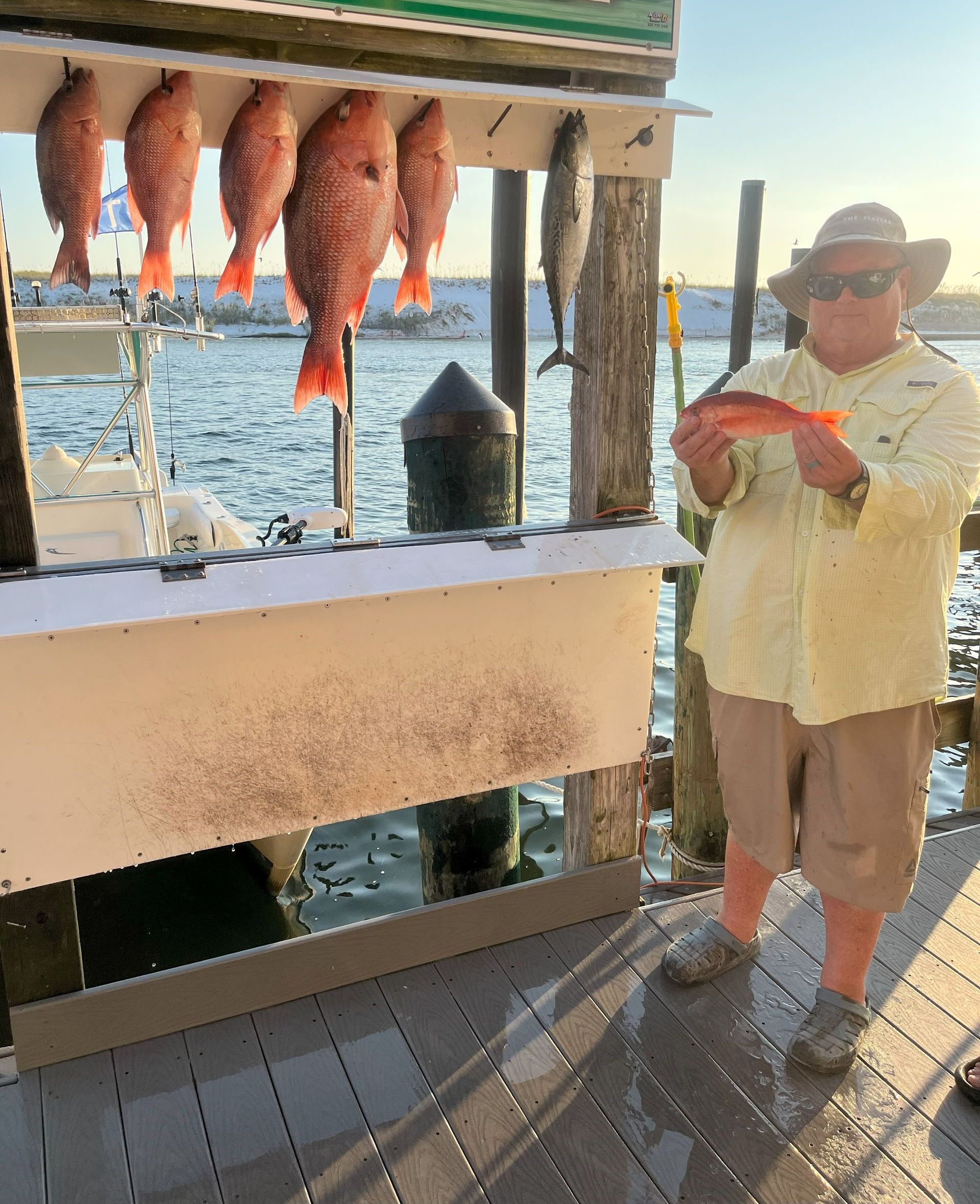 A man is holding a fish in front of a display of fish on a dock.