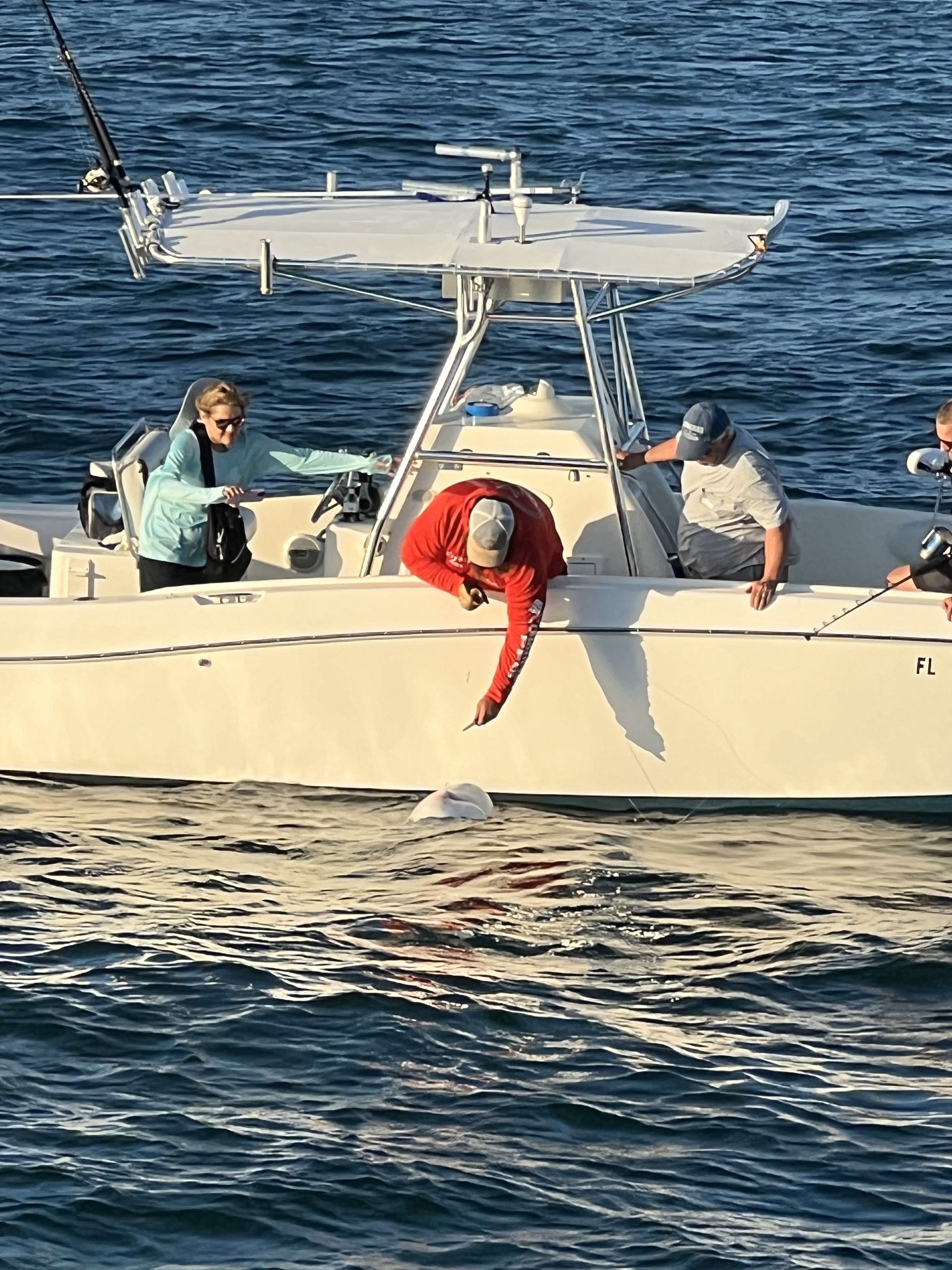 A group of people are fishing for shark on a boat in the ocean.